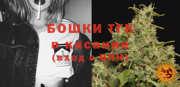 PSILOCYBIN Волосово