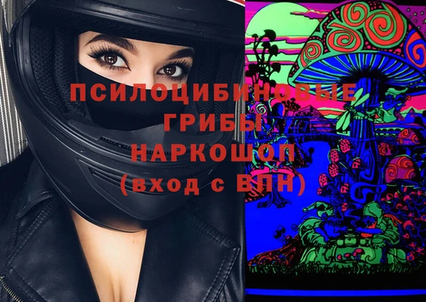 PSILOCYBIN Волосово