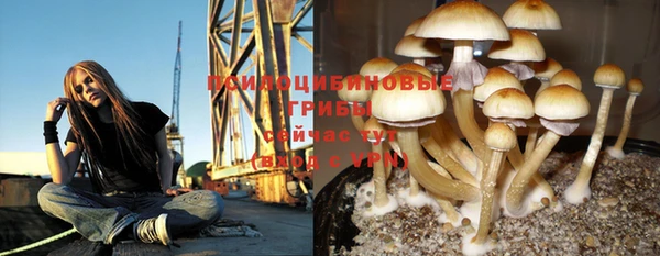 кокаин премиум Сосновый Бор